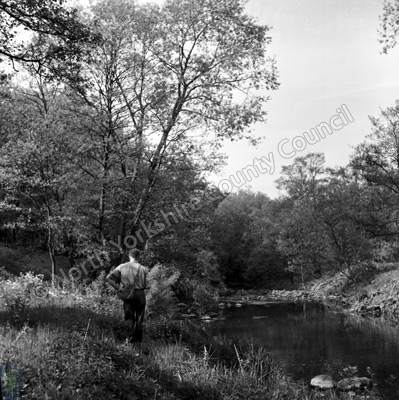 Fishing, River Leven, Hutton Rudby